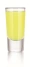 Kieliszek 30 ml TEQUILLA - LIBBEY