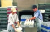 Kosze do mycia talerzy 23-26 cm - CAMBRO