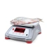 Waga Valor 2000 do 6kg