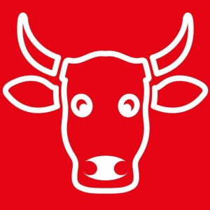 Deska do krojenia 450x300 mm czerwona