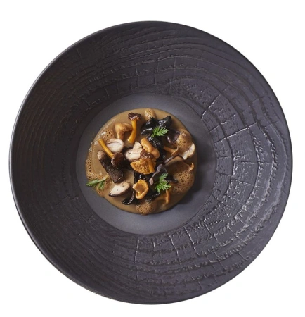 Talerz głęboki 24 cm grafitowy ARBORESCENCE - REVOL