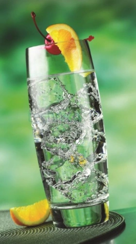 Szklanka 290 ml ENDESSA - LIBBEY