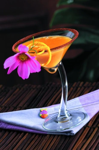 Kieliszek do martini 200 ml BRAVURA - LIBBEY