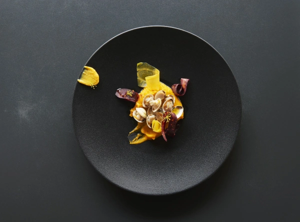 Talerz płaski 16 cm czarny EQUINOXE - REVOL Talerz płaski 16 cm czarny EQUINOXE - REVOL