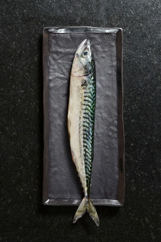 Talerz Black Moon 30x14 cm SOLSTICE ? REVOL Talerz Black Moon 30x14 cm SOLSTICE ? REVOL