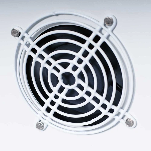 Szafa mroźnicza 600 l, wnętrze z ABS, stal nierdzewna