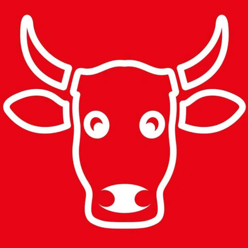 Nóż kuchenny L 250 mm czerwony