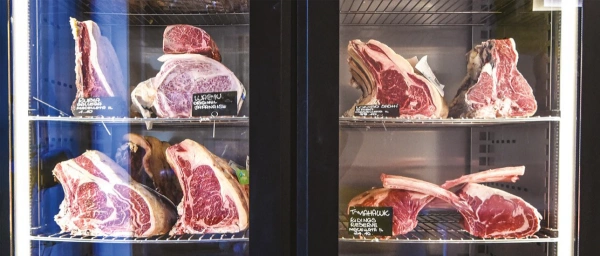 Szafa do sezonowania Klima Meat BASIC ZERNIKE