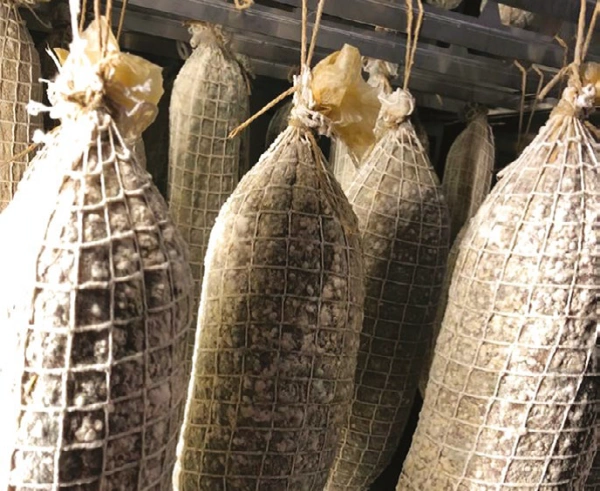 Szafy do sezonowania Klima Aging SYSTEM ZERNIKE