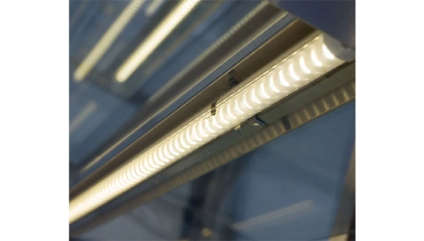 Witryna cukiernicza chłodnicza, gięta szyba | IGLOO KAMELEO