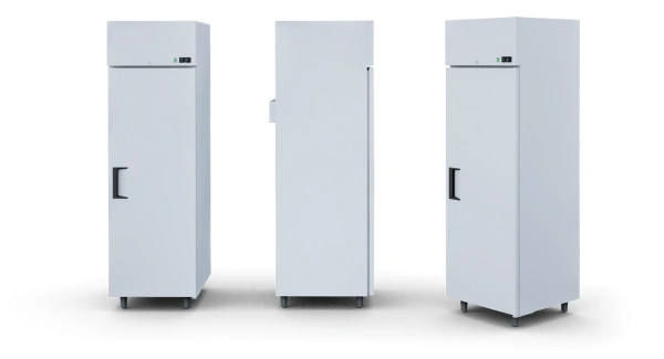 Szafa mroźnicza, pełne drzwi | IGLOO EWA P M