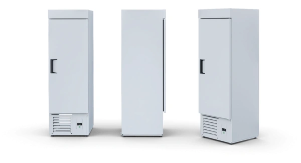 Szafa mroźnicza, pełne drzwi | IGLOO EWA P M